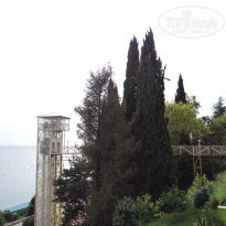 фото из отзыва ID 2256858