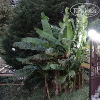 фото из отзыва ID 2256858