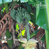 фото из отзыва ID 2256858