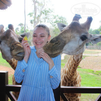 фото из отзыва ID 2255344