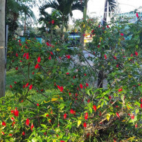 фото из отзыва ID 2256869