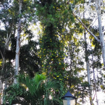 фото из отзыва ID 2256869