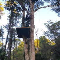 фото из отзыва ID 2256869