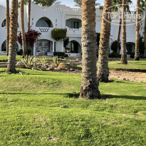 фото из отзыва ID 2256940