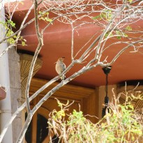 фото из отзыва ID 2256864