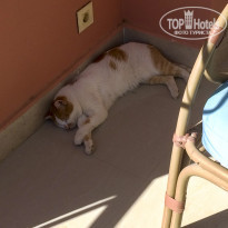 фото из отзыва ID 2256864