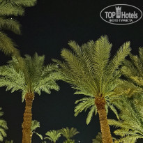 фото из отзыва ID 2257114