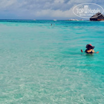 фото из отзыва ID 2257163