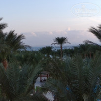 фото из отзыва ID 2257422