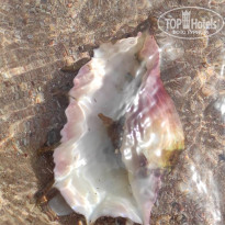 фото из отзыва ID 2257458