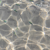 фото из отзыва ID 2257458