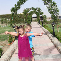 фото из отзыва ID 2257458