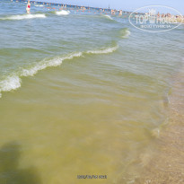 фото из отзыва ID 2257528