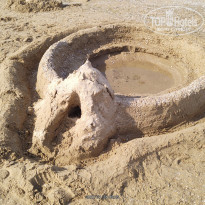 фото из отзыва ID 2257528