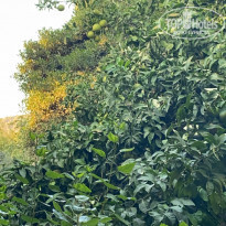 фото из отзыва ID 2257526