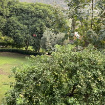 фото из отзыва ID 2257526