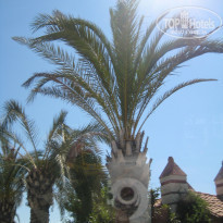 фото из отзыва ID 2257459