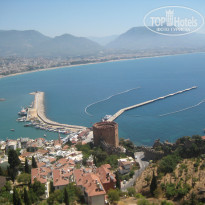 фото из отзыва ID 2257459