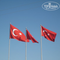 фото из отзыва ID 2257459