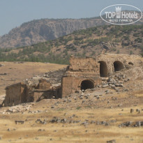 фото из отзыва ID 2257459