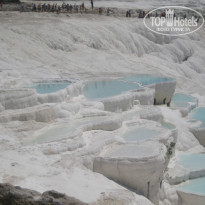 фото из отзыва ID 2257459