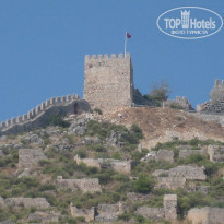 фото из отзыва ID 2257459