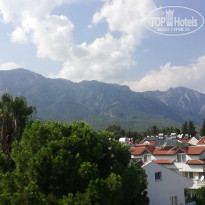 фото из отзыва ID 2257947