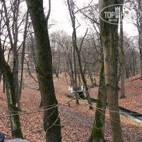 фото из отзыва ID 2257997