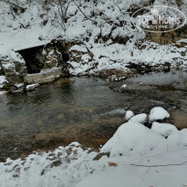 фото из отзыва ID 2258029