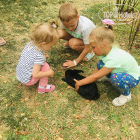 фото из отзыва ID 2258130