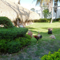 фото из отзыва ID 2258171