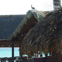 фото из отзыва ID 2258171