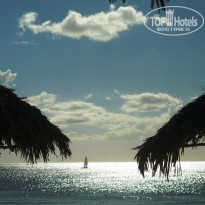 фото из отзыва ID 2258171