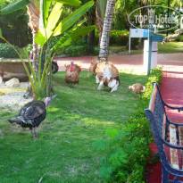 фото из отзыва ID 2258171