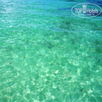 фото из отзыва ID 2258171