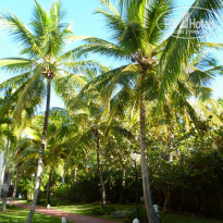 фото из отзыва ID 2258171