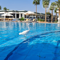 фото из отзыва ID 2258374