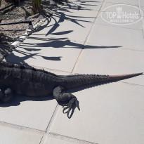 фото из отзыва ID 2258478