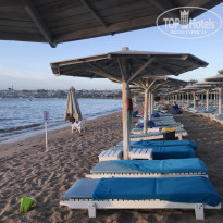 фото из отзыва ID 2258510