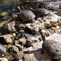 фото из отзыва ID 2258473