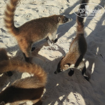 фото из отзыва ID 2258473