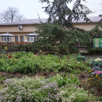 фото из отзыва ID 2258525