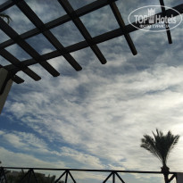 фото из отзыва ID 2258566