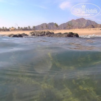 фото из отзыва ID 2258596