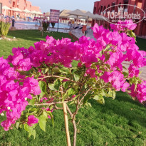 фото из отзыва ID 2258746