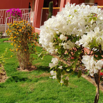 фото из отзыва ID 2258746