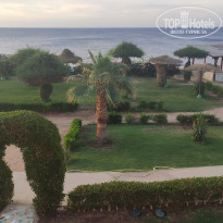 фото из отзыва ID 2258927