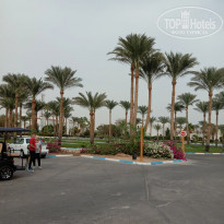 фото из отзыва ID 2258968