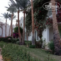 фото из отзыва ID 2258968