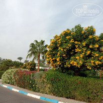 фото из отзыва ID 2258968